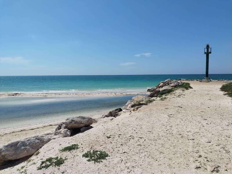 From Merida: Isla Columpios & Progreso - Key moments that make this tour worth it