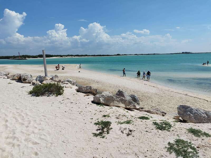From Merida: Isla Columpios & Progreso - Chuburná and Playón de Chuburná: what you’ll do with that guided time