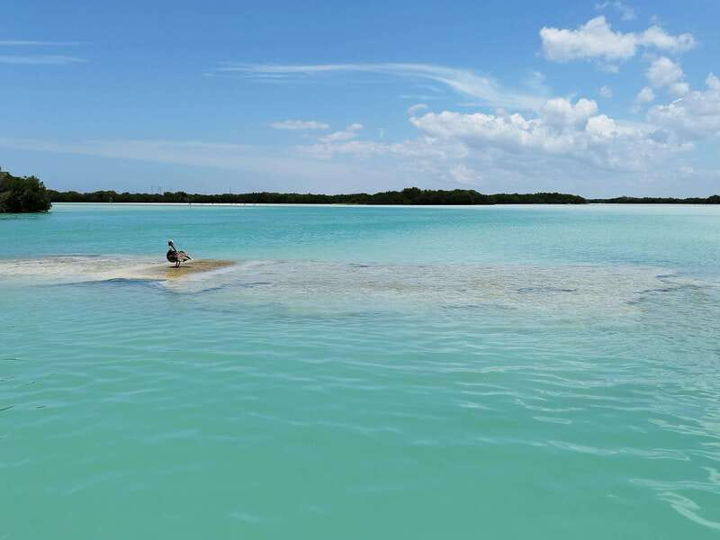 From Merida: Isla Columpios & Progreso - Isla de los Columpios: swings, shallow water, and the calm that makes the photos work