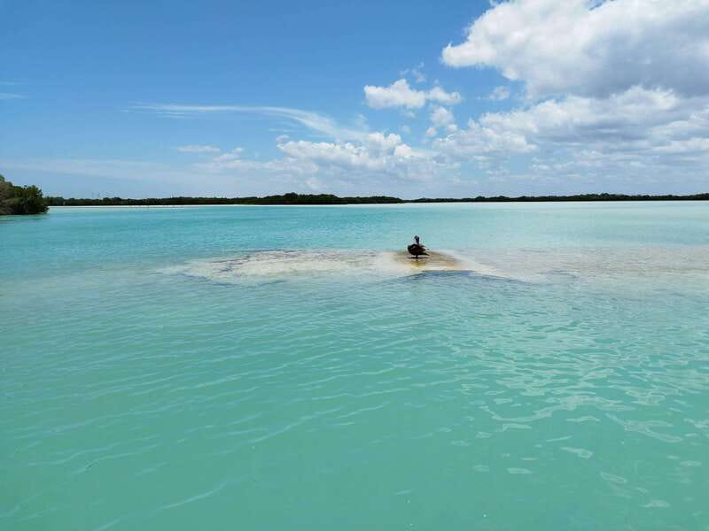 From Merida: Isla Columpios & Progreso - Getting to Chuburná: the morning coach ride and guided momentum