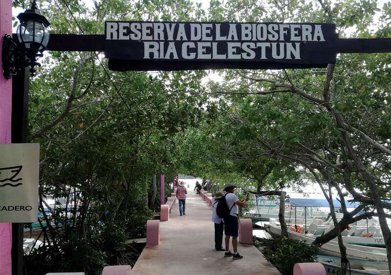 From Mérida: Ria Celestun Biosphere Reserve Tour - Key Highlights Worth Booking