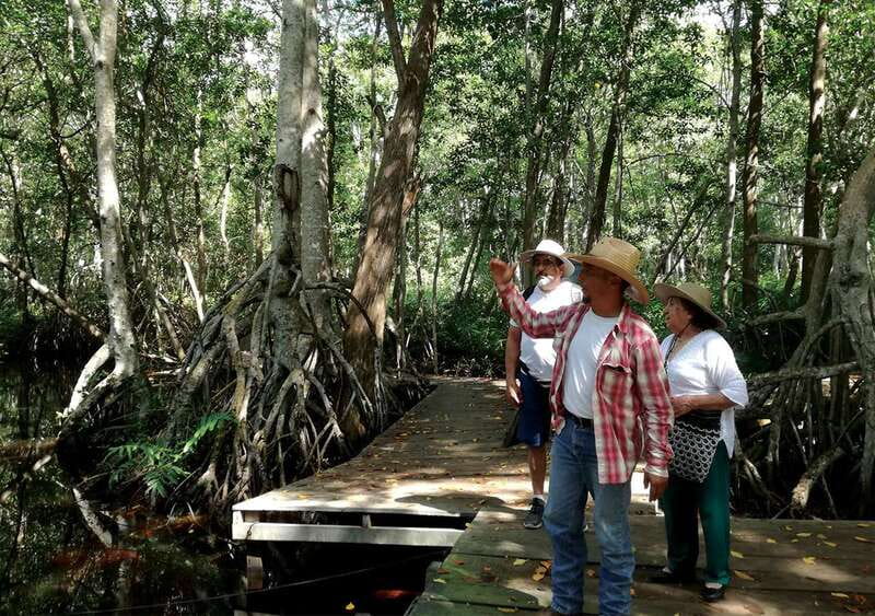 From Mérida: Ria Celestun Biosphere Reserve Tour - Price and Value: What $203 Buys You in Real Terms