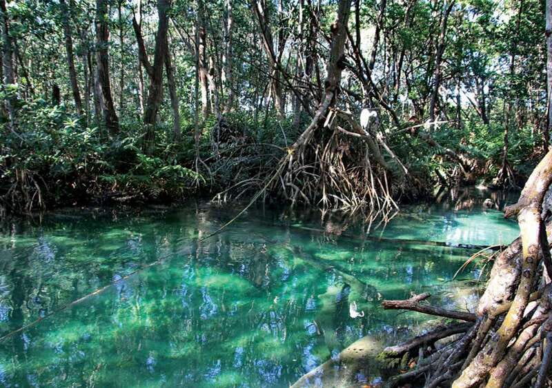 From Mérida: Ria Celestun Biosphere Reserve Tour - Guides Matter: The Human Side of the Wildlife Day