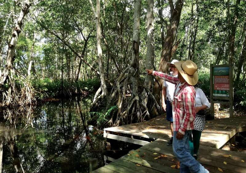 From Mérida: Ria Celestun Biosphere Reserve Tour - Ria Celestún Biosphere Reserve: Seeing Flamingos Where They Winter