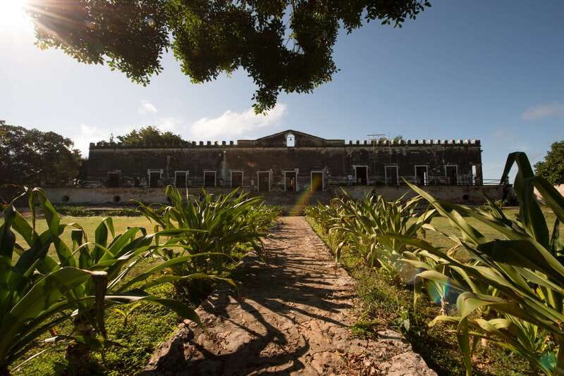 From Merida: Uxmal, Hacienda Yaxcopoil and Cenote with Lunch - Key points to know before you go