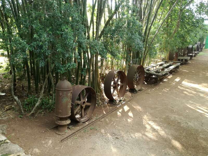 From Merida: Uxmal, Hacienda Yaxcopoil and Cenote with Lunch - Pickup and air-conditioned transport: the part that can make or break your mood