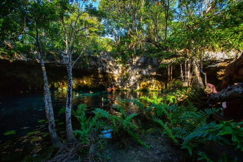From Riviera Maya: 3 Cenotes Adventure Tour with Lunch - A vegetarian jungle picnic lunch made by a Mayan family
