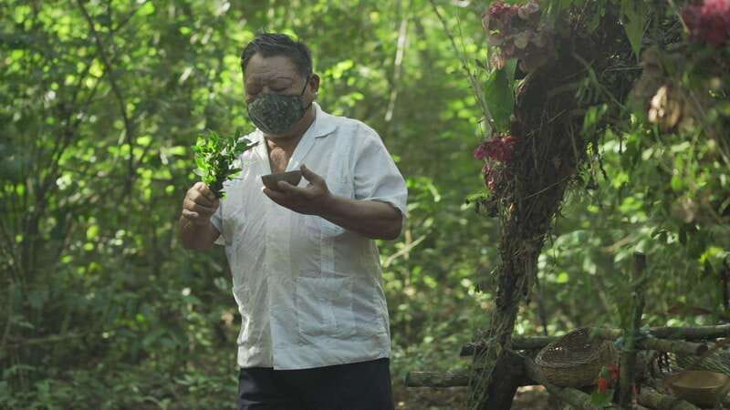 From Riviera Maya: Coba, Punta Laguna & Cenote Guided Trip - Punta Laguna Monkey Sanctuary: Wildlife Watching Without the Chaos