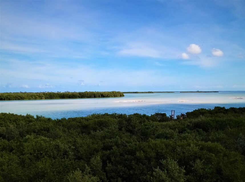 From Riviera Maya: Holbox Full-Day Tour with Lunch - Practical tips to make the timing work for you