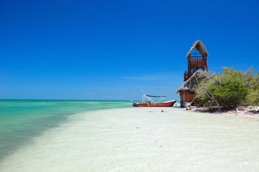 From Riviera Maya: Holbox Full-Day Tour with Lunch - Yalahau Cenote (Hoyo Negro Yalahau): swim in a nature lagoon