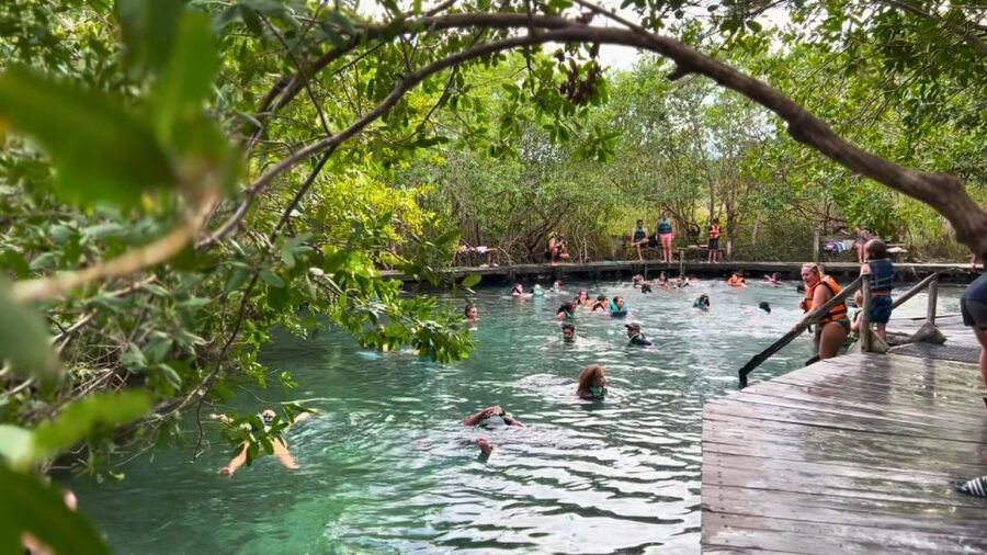 From Riviera Maya: Holbox Full-Day Tour with Lunch - Punta Mosquito and Secret Beach sandbars, plus lunch on the water
