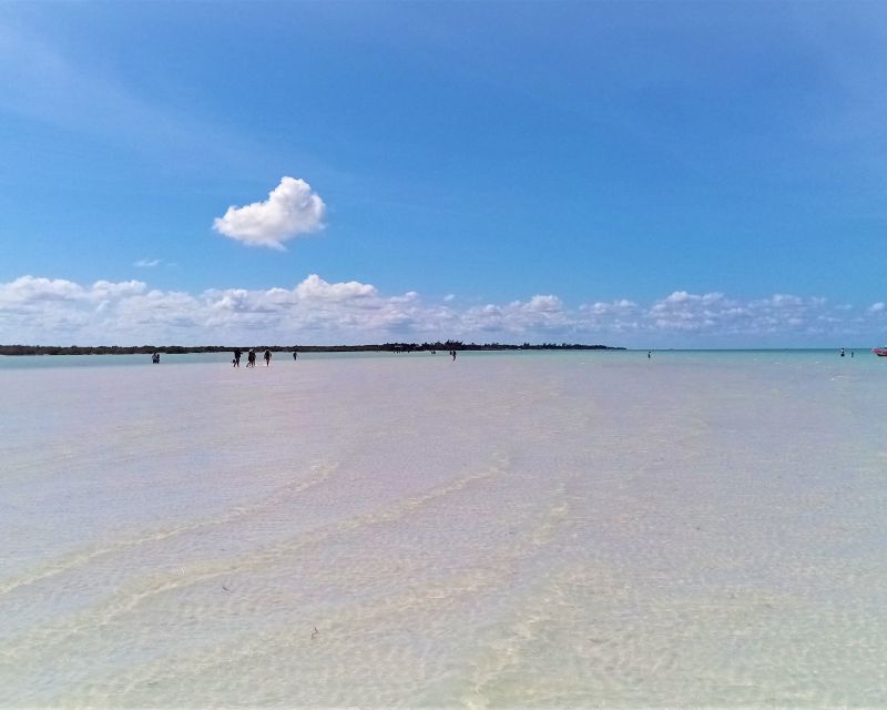 From Riviera Maya: Holbox Full-Day Tour with Lunch - Isla Holbox free time: colorful streets and beach paths