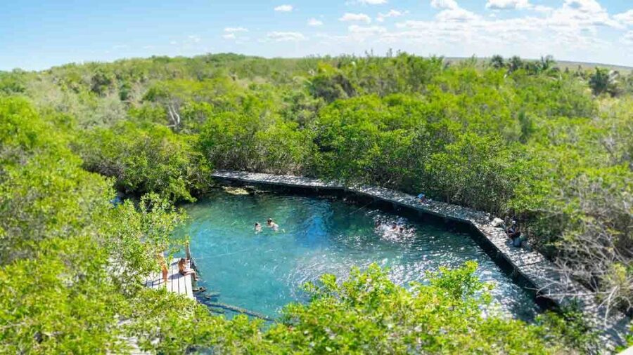From Riviera Maya: Holbox Full-Day Tour with Lunch - Price value and the $40 USD surcharge you must budget
