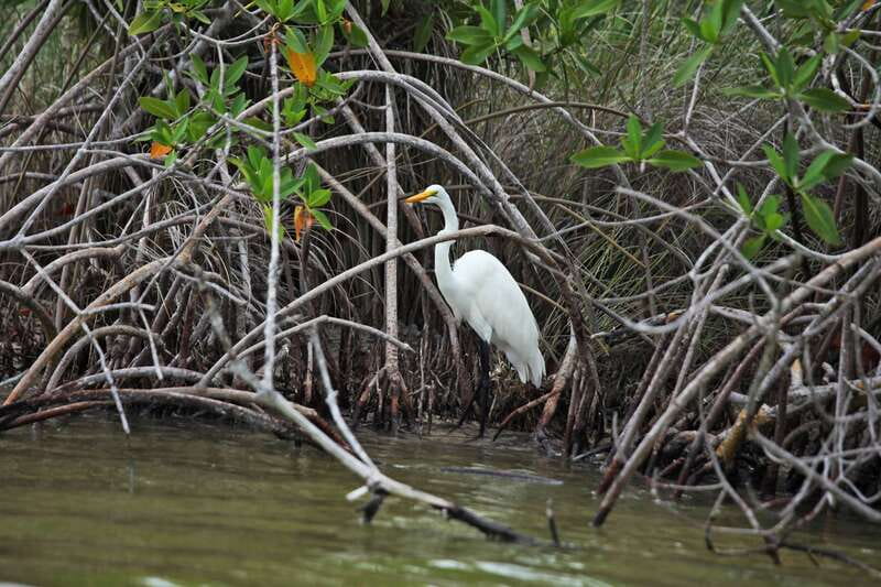 From Riviera Maya: Sian Ka'an Half Day Tour w/ Lunch - Key points to know before you go