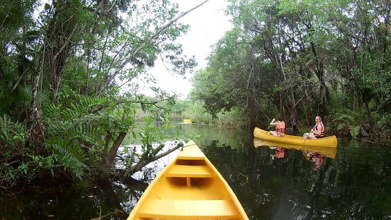 From Tulum: Four-Cenote Adventure - Guides and group feel: why the experience lands well