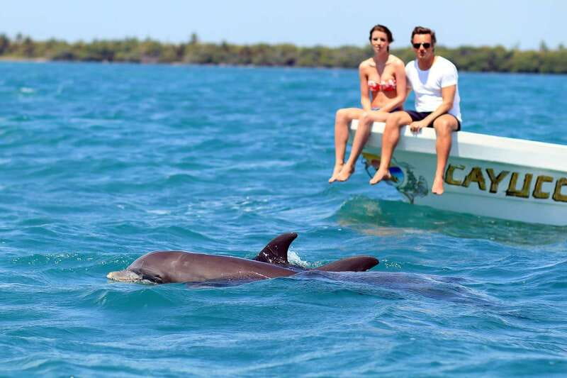 From Tulum: Sian Kaan Boat Trip Adventure with Lunch - Wildlife viewing: your odds improve with patient guidance