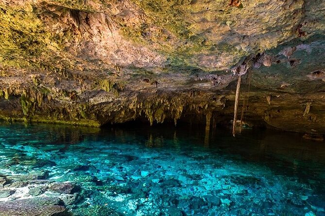 Full Day Adventure: Horses , ATV, Ziplines & Cenote w/Lunch - Horseback ride: cute, but go in with the right expectations