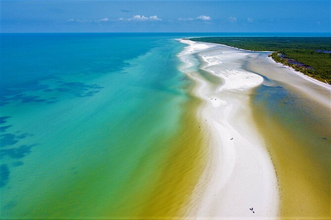 Full Day Excursion to the Best of Holbox From Riviera Maya - Price and value: what you really pay