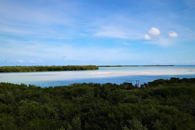 Full Day Excursion to the Best of Holbox From Riviera Maya - Holbox Island free time: where you should spend your 2 hours