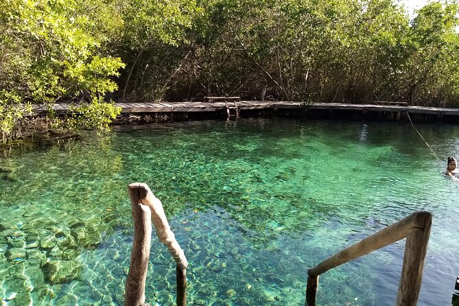 Full Day Excursion to the Best of Holbox From Riviera Maya - Isla de la Pasion: bird watching with a short walking break