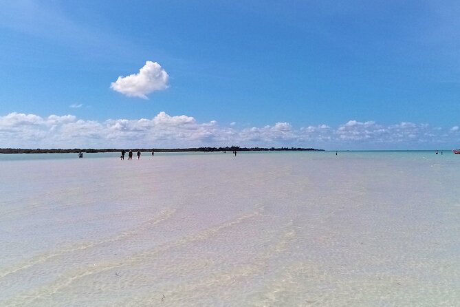 Full Day Excursion to the Best of Holbox From Riviera Maya - Punta Mosquito: swim, eat, and enjoy the water breaks