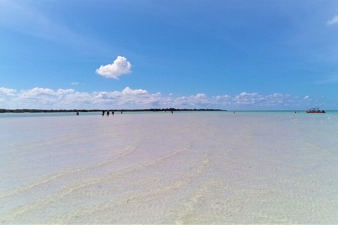 Full Day Excursion to the Best of Holbox From Riviera Maya - Yalahau Lagoon and Ojo de Agua: the swim stop that feels like a reset