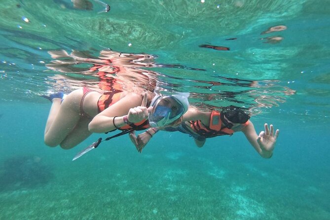 Full Day Guided Tour to Sian Ka'an (short way) - Sian Kaan Biosphere Reserve: UNESCO nature, wildlife chances, and guide work