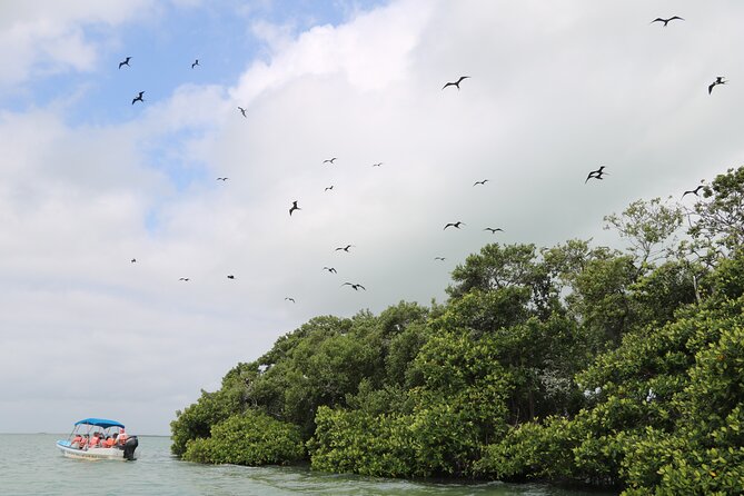 Full Day Guided Tour to Sian Ka'an (short way) - Transportation, group size, and how the day stays manageable