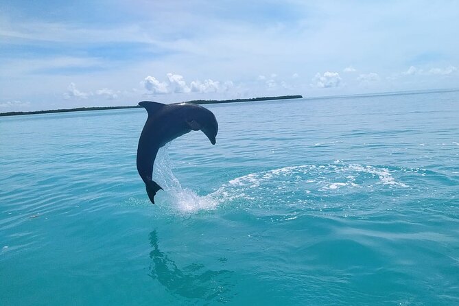 Full Day Guided Tour to Sian Ka'an (short way) - Price and logistics: is $235 worth it?