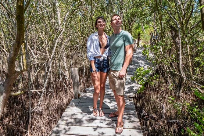 Full-Day Isla Contoy Sailing Nature Experience in Mujeres - Price and Value: What $125.10 Really Buys