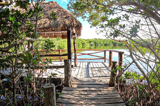Full-Day Isla Contoy Sailing Nature Experience in Mujeres - Timing and Route: How the Day Breaks Down