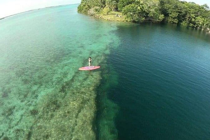 Full Day Kayak Rental in Bacalar - What You Really Get for $22 Per Person