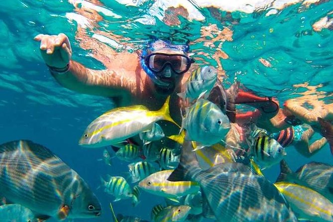 Full-Day Luxurious Catamaran Adventure - Cancún to Isla Mujeres - Snorkeling and reef time: fun, but manage expectations