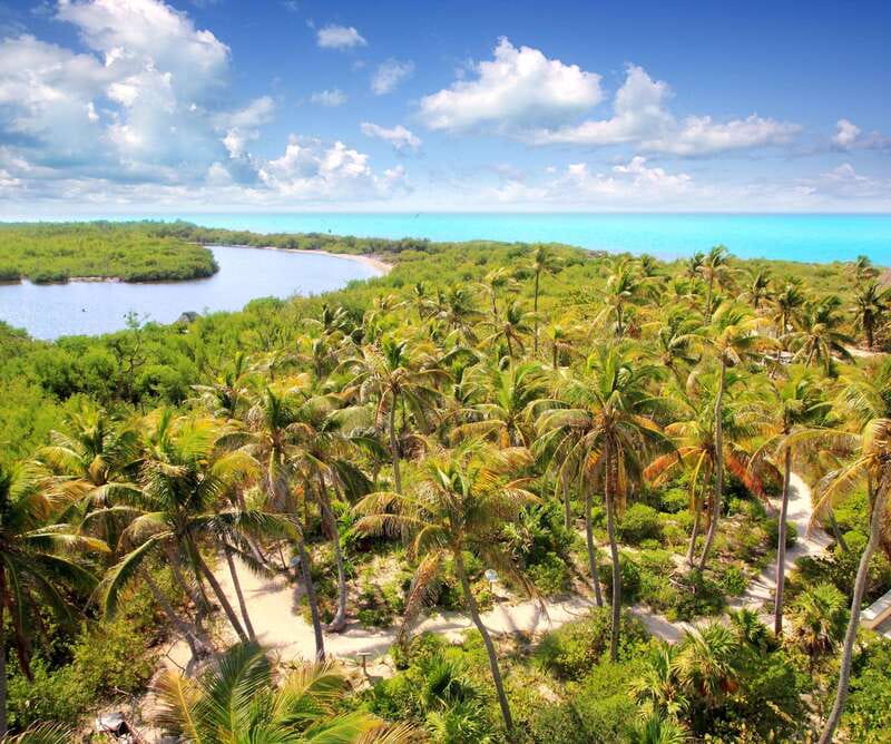 Full Day Nature Expedition to Contoy Island and Isla Mujeres - Contoy Island itself: protected reserve and birdlife focus