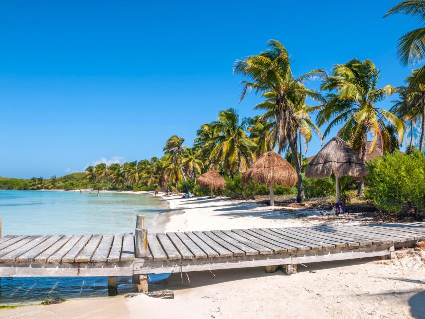 Full Day Nature Expedition to Contoy Island and Isla Mujeres - Boat cruise transitions: why the ride matters