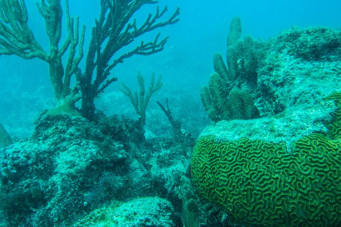 Full-Day Sailing Trip to Mujeres Island from Playa del Carmen - Getting to Lobster Beach: the pre-sail check-in step in Cancun