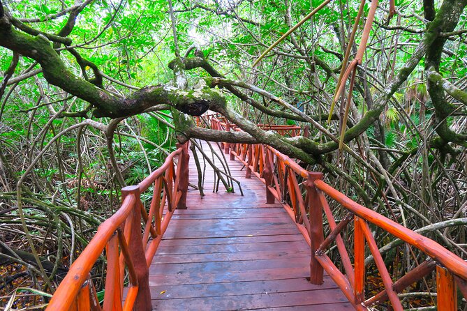 Full-Day Tour of Tulum Ruins and Cenotes with Lunch - Lunch in a Mayan-Style Setting: Tacos, Tortillas, and Soft Drinks