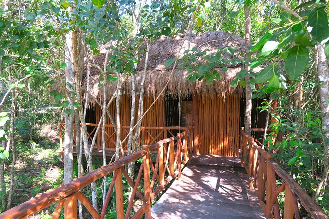 Full-Day Tour of Tulum Ruins and Cenotes with Lunch - Group Size, Guide Style, and the Feel of the Day
