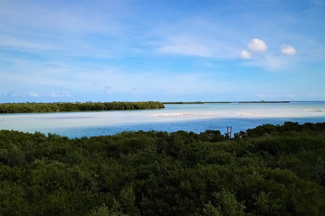 Full Day Tour to the Best of Holbox - Punta Mosquito: the food and swim window