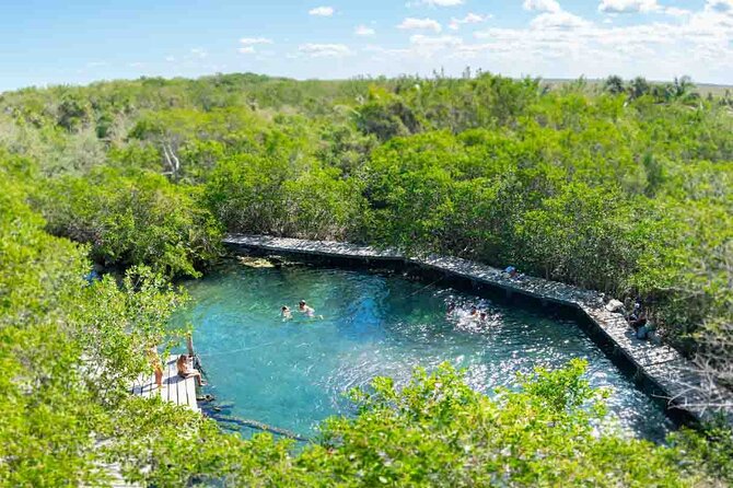Full Day Tour to the Best of Holbox - Isla de la Pasion: bird watching plus a short island walk
