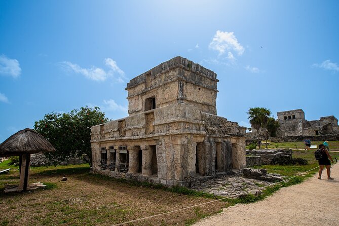 Full Day Tulum Ruins Tour Cenote and Swimming with Sea Turtles - Cenote Nohoch: the jungle swim that actually refreshes