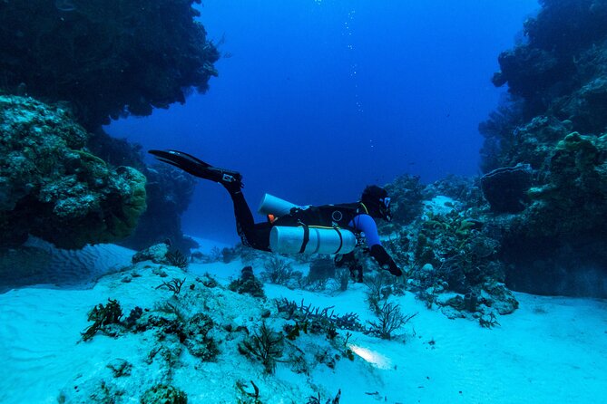Fun Dive Machine in Playa del Carmen or Cozumel-For Certificates - Coaching that helps: what you’ll want to ask before you go in