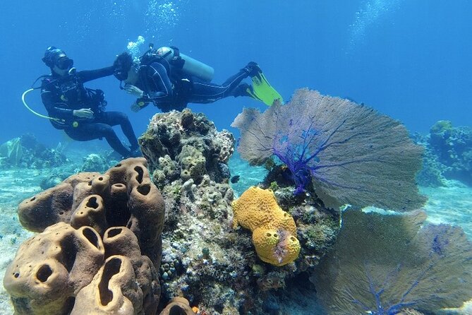 Fun Dive Machine in Playa del Carmen or Cozumel-For Certificates - Practicalities: meeting point, small group rules, and your comfort