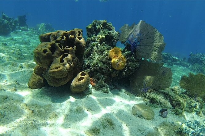 Fun Dive Machine in Playa del Carmen or Cozumel-For Certificates - Planning your day around the 24-hour flight rule