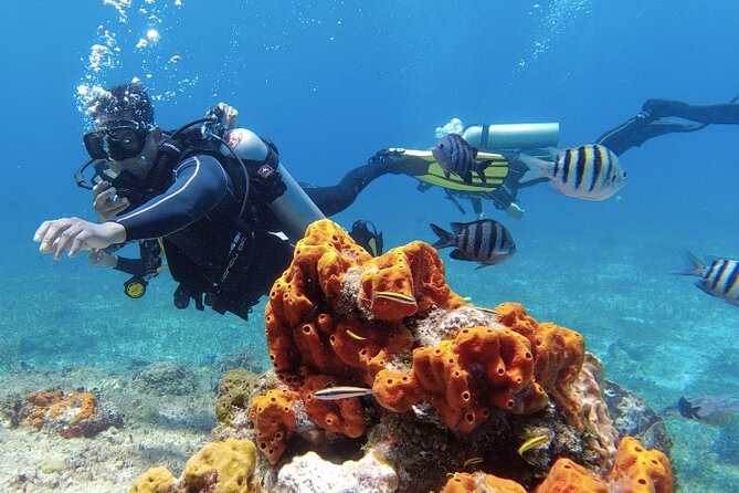 Fun Dive Machine in Playa del Carmen or Cozumel-For Certificates - The 4-hour rhythm: what the day feels like
