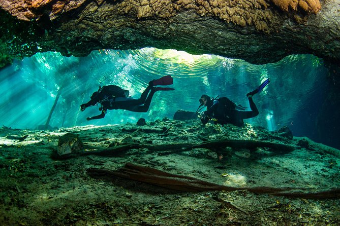 Go for 2 dives in cenote Dos ojos for certified divers - Barbie Line and Bat Cave: what each tank session delivers