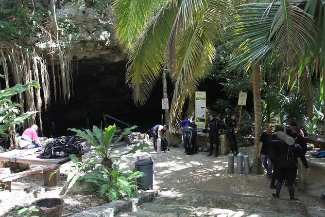 Go for 2 dives in cenote Dos ojos for certified divers - Practical tips for your gear day in Dos Ojos