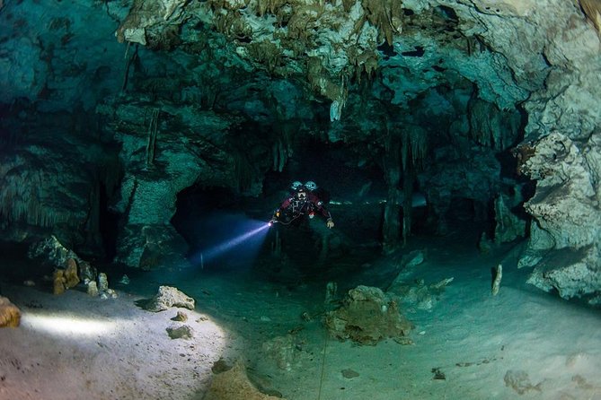 Go for 2 dives in cenote Dos ojos for certified divers - Should you book this Cenote Dos Ojos experience?