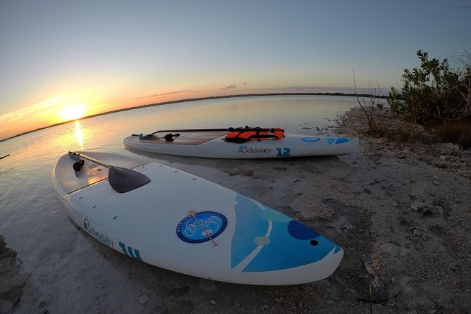 Golden Hour at Mariscal Lagoon: A Sunset to Remember - Key reasons to pick this Golden Hour SUP