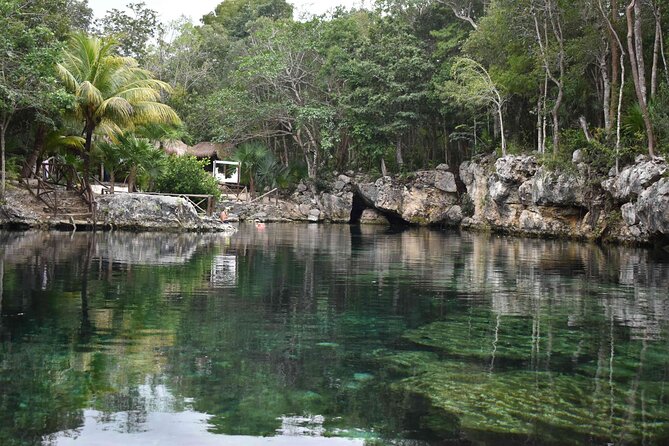 Half Day Cenotes Tour - Key Things That Make This Cenotes Tour Worth Your Time